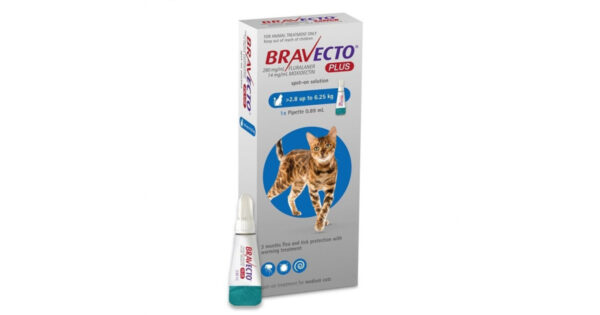 Bravecto Plus (2.8-6.25kg) Cat 250mg