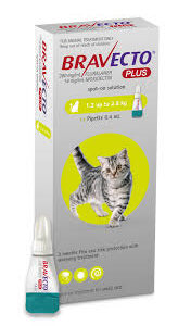 Bravecto Plus (1.2-2.8kg) Cat 112mg