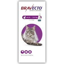 Bravecto Spot-on (6.25-12.5kg) Cat 500mg