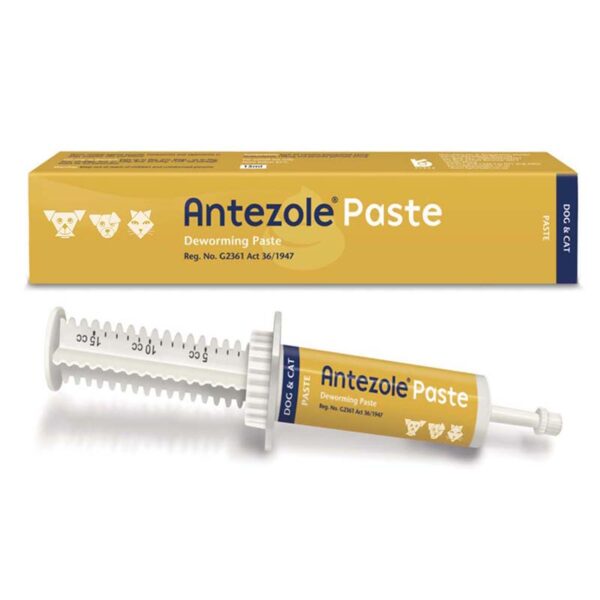 Antezole Deworming Paste Dogs & Cats 30ml