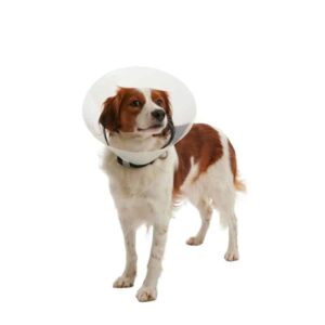 BUSTER CLIC COLLAR 10cm