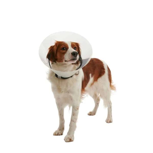 BUSTER CLIC COLLAR 10cm