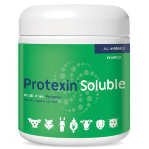 Protexin Soluble 60g -Cats & Dogs