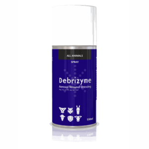 Debrizyme150ml