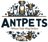 ANT Pets Logo PNG